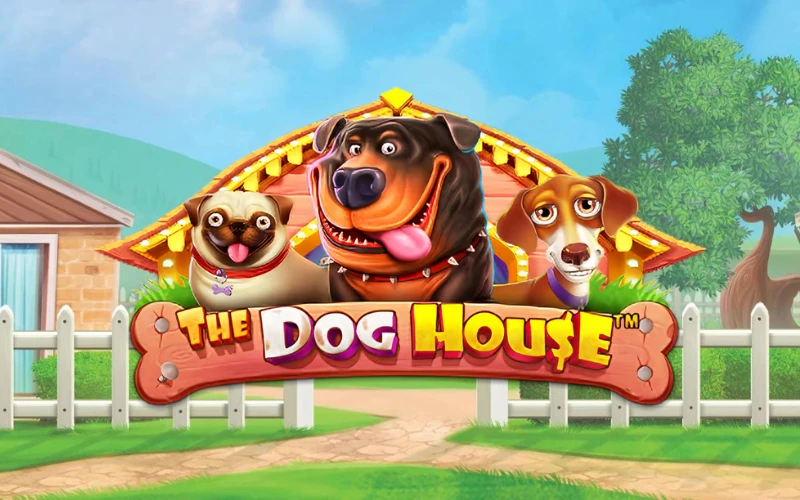Caça-níquel The Dog House Grátis | Winity Casino Online